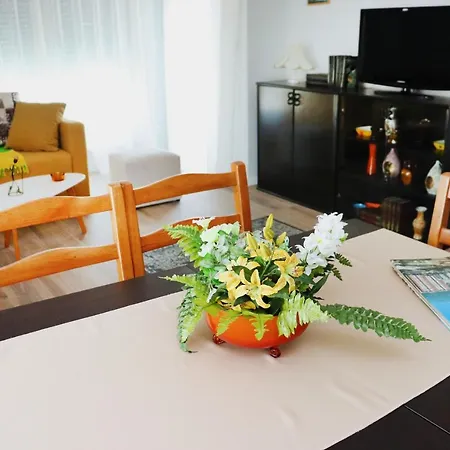 Foxxy Luxury Skopje